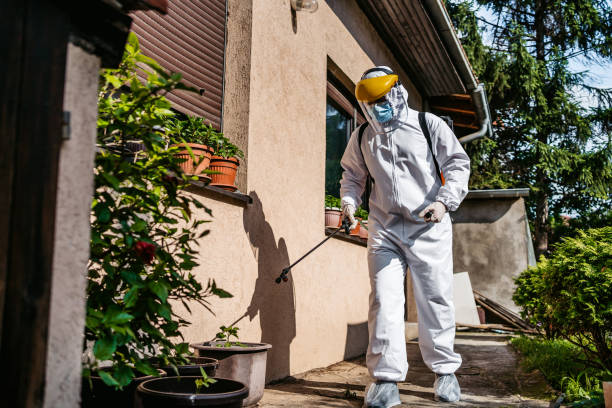 Reliable Chaska, MN Pest Control Solutions