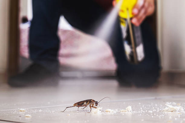 Best Flea Control Services  in Chaska, MN