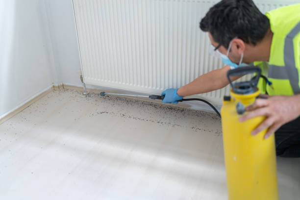 Best Affordable Pest Control Services  in Chaska, MN